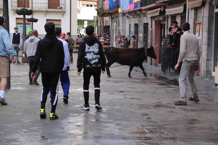 Soka zintzilik eta muturrak  28 1646140697072