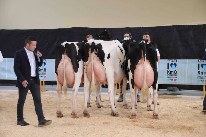 XII. Euskal Herriko Frisoi T 32 1637418677082