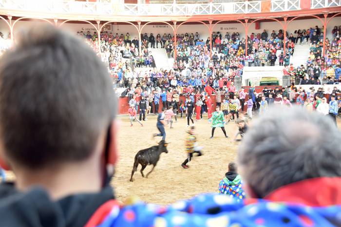 xexenak ostiral mehea 46 1645807736550