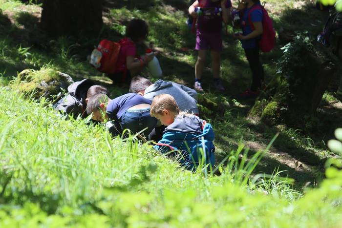 Elosegi parkeko biodibertsit 6 1559225130290