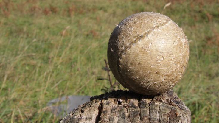 Euskadiko Euskal Pilota Federazioko hauteskundeak egingo dira bihar