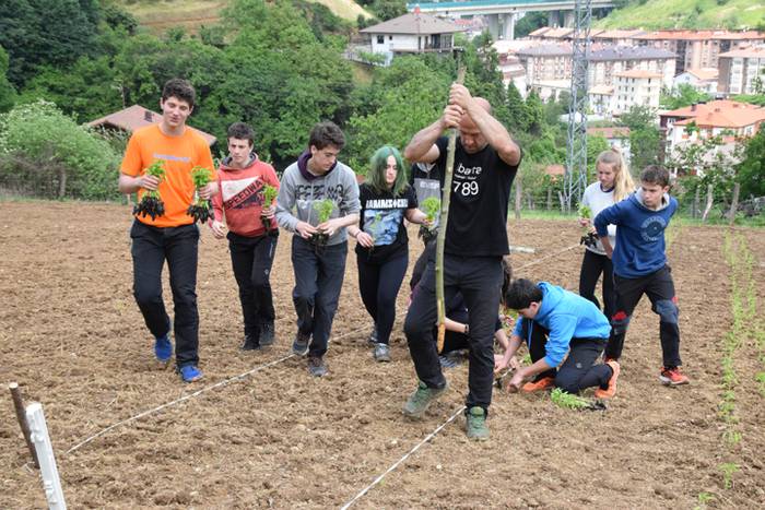 Piper landaketa uzturpe gureak  789 taldea 6 1464793768940