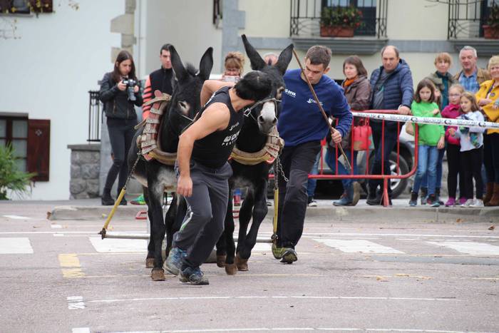 Idiek irabazi diete astoei A 17 1541962128303