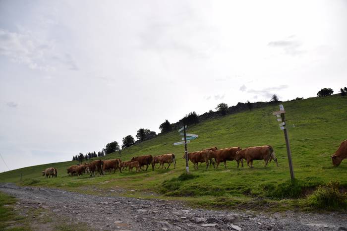 BERASTEG LARRE IREKIERA 2022 27 1652525079880