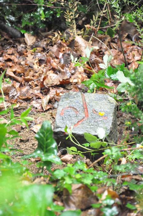 Zizurkilgo hegoaldeko mugarr 22 1621240767895