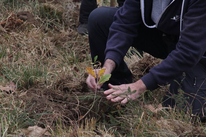 Eskola txikiak eta ner group 50 1447508280141