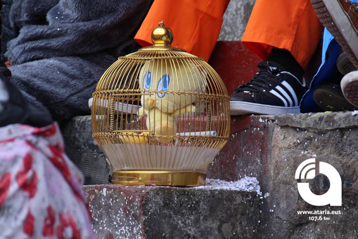 Zezenak adarrak okerrak ditu 98 1488277727629