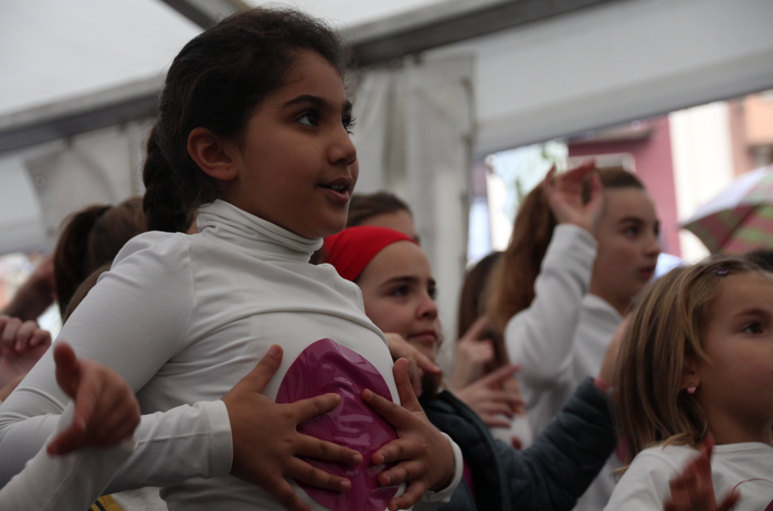 Dira ez, dituzte 13 1511616299560