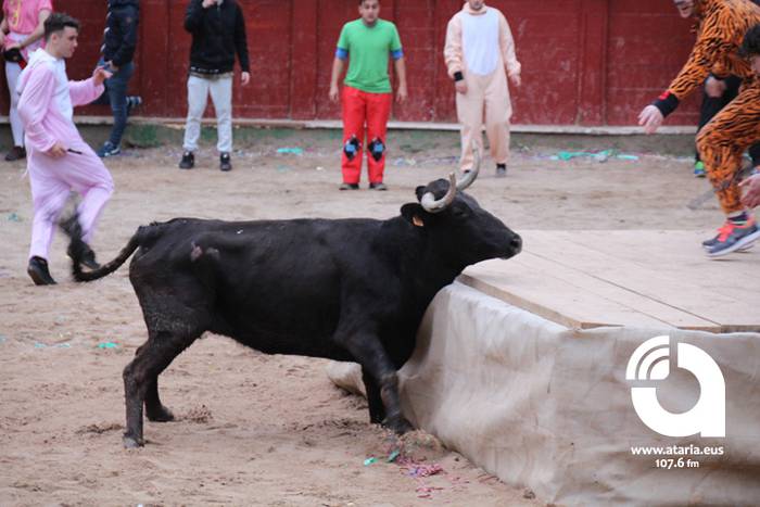 Zezenak adarrak okerrak ditu 18 1488277255847