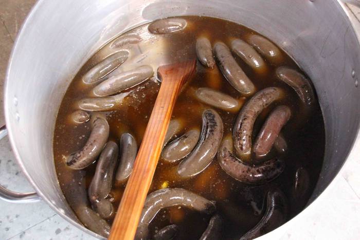 Tolosako Babarrunaren Festa  31 1542467517652