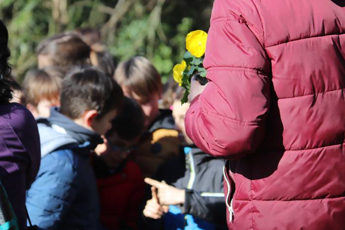 Tolosako ikasleek zuhaitzak  32 1520435622931