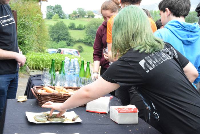 Piper landaketa uzturpe gureak  789 taldea 17 1464793772843