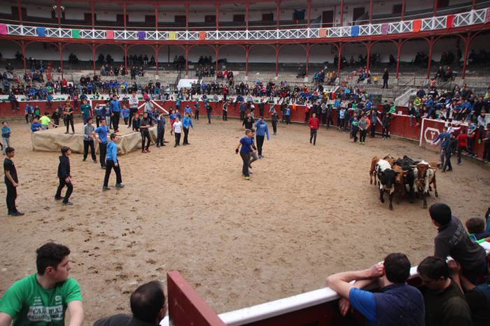 Txaranga eta zezenak piñata  42 1488738971063