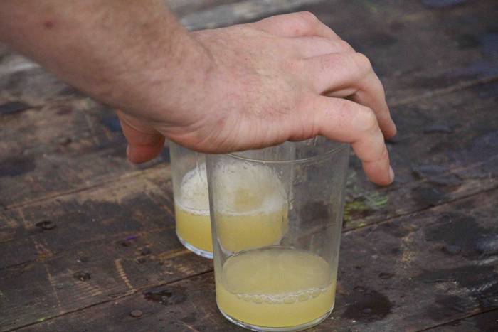 Berrobi San Agustin jaiak 20 36 1535480135011