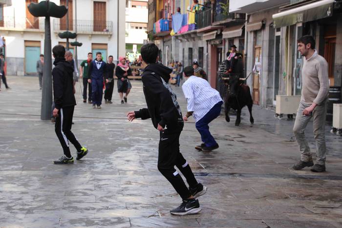 Soka zintzilik eta muturrak  30 1646140697789