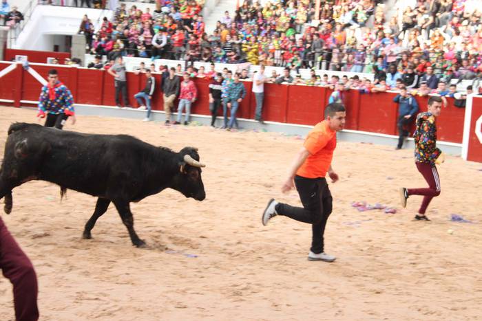 Inauteriak 2020, zezenak Ost 28 1582222555128