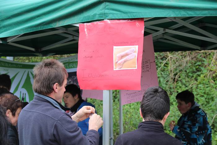 Alegako azoka ekologikoa 11 1462113309281