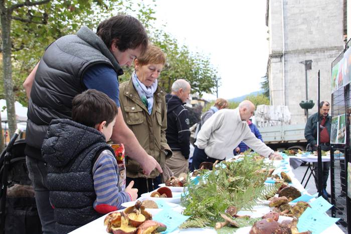 Udazken loreen gurtza 1 1477137443049