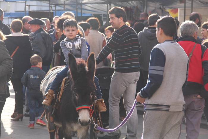 Tolosa Gabonetako Azoka berezia 2015 11 1450532616531