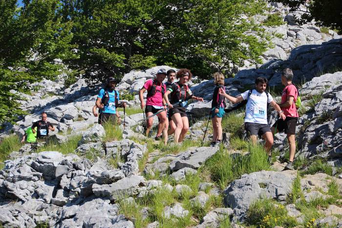 T3T, Hernio 2019 69 1560688438595