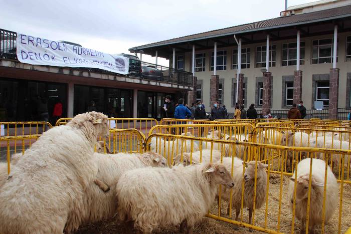 Berastegiko gaztarik onena A 3 1608397894558