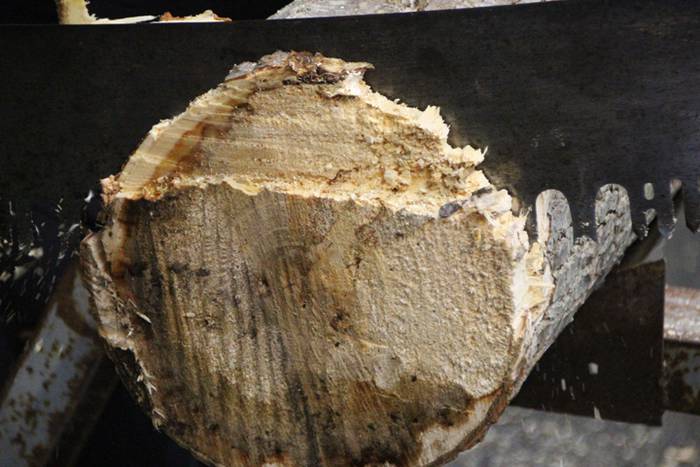 Frontoia, erakustaldiaren ba 9 1502818071845