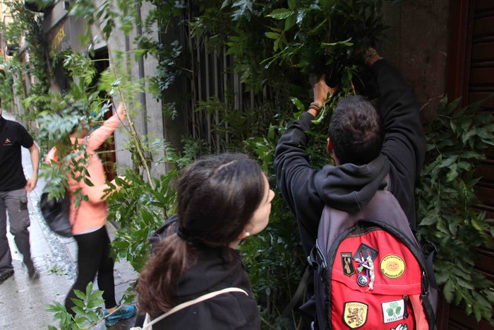 Berdez esnatzen da ekainaren 24a - 17