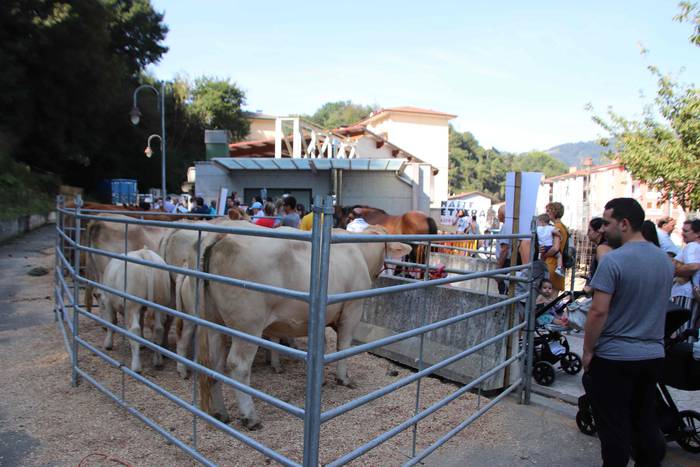 "Ibarra, Azoka eta Piparra" 31 1537102871863