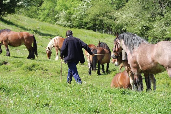 Larre irekiera Larraitzen 20 72 1493640099430