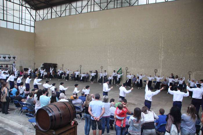 Bedaioko ingurutxoa, inoizko 59 1536521506325