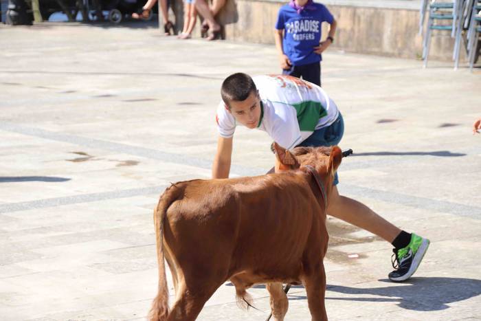 Festak hasteko, poniak eta z 60 1566994021014