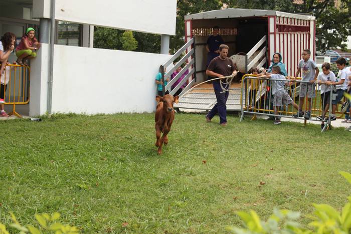 Ikaztegietako Jaiak 2017, um 15 1502457245781