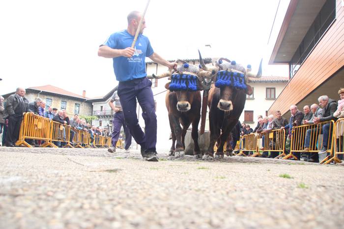 San Isidro Eguna Amasa Astea 14 1526395749872