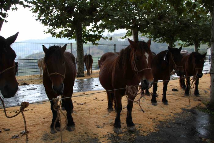 Azoka, hamaiketako eta guzti 24 1540733635759