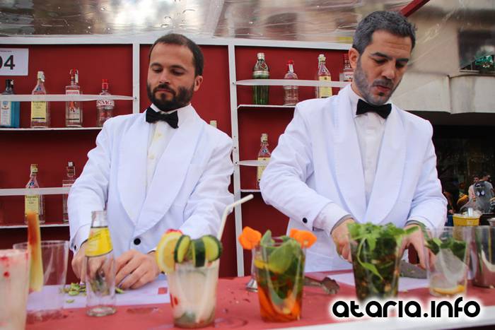 inauteriak 2016 zaldunita karrozak 238 1454866279256