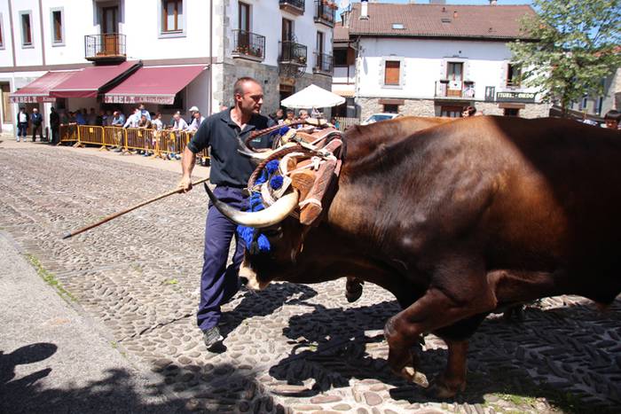 Idi erakustaldia Asteasuko p 14 1494859869871