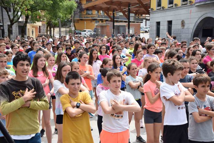 Milimetroak Tolosaldean Ibar 19 1653051870628