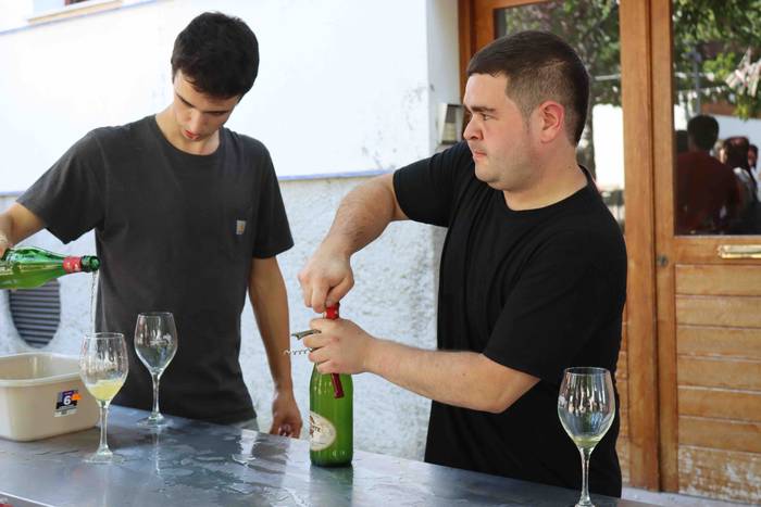 Beroari aurre egiteko, sagar 27 1659873001054