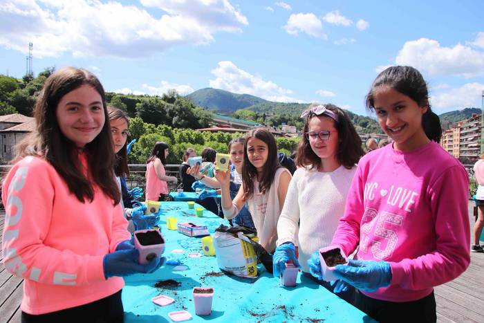 Tolosako Babarruna erein da 17 1559904707307