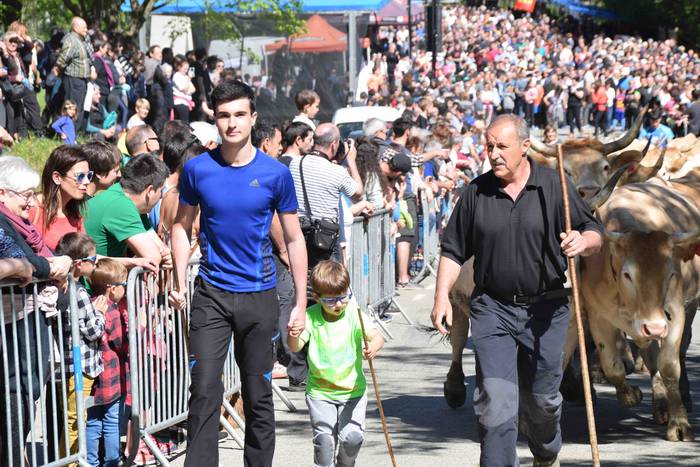 Larrerati dituzte abereak Ar 39 1556716303983