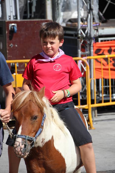 Gazteen festa egarriak ez du etenik 15 1472122494471