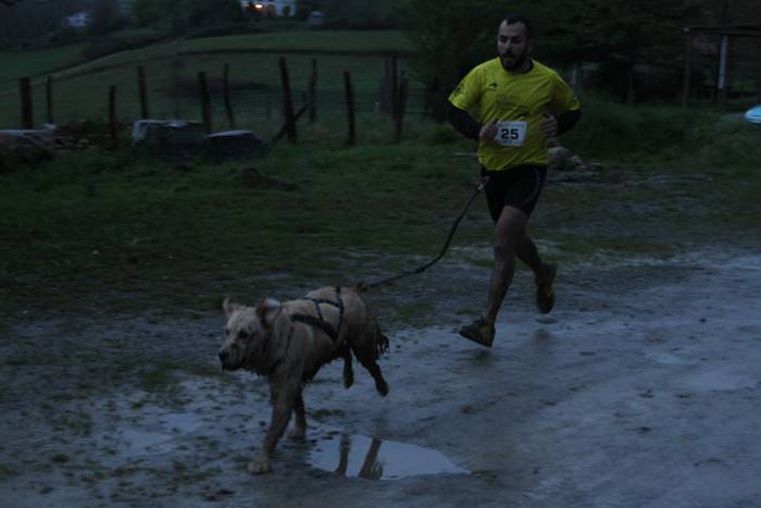 Zizurkil, txakur krosa 52 1490474099897