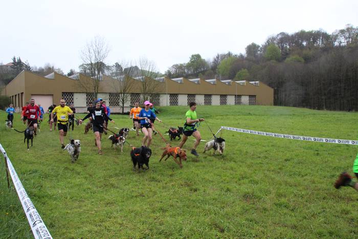 Zizurkilgo I. txakurkrosa 12 1460224023829