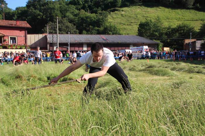 Asteasuko lagunarteko herri  73 1656445503033