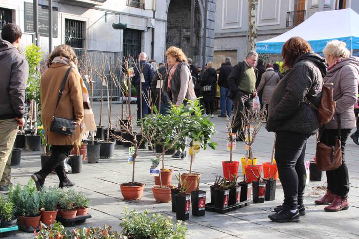 Tolosako Lore eta Landare Az 11 1549717197872