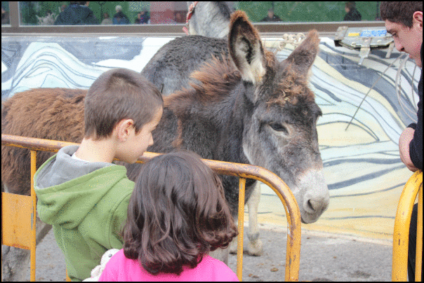 azokak 3 1381765566463