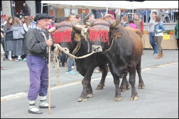 azokak 5 1381765566942