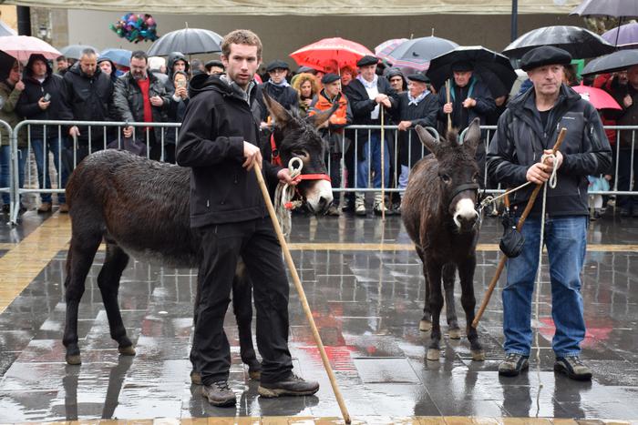 ‘Fermin’ astoa saritua izan da Astotxo Egunean