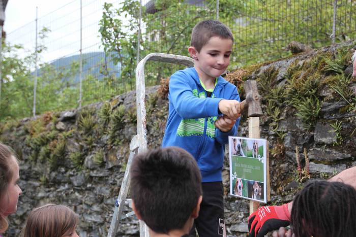 Txakur kakak jasotzeko karte 33 1653302379308