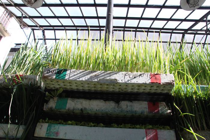 Udaberria loratu da Tolosan 12 1526734057627